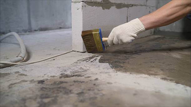 Top rated local Foundation Crack Repair specialists in Goodrich, MI